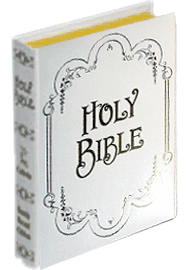 Family Record Edition Bible