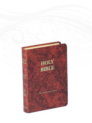 Fireside Study Edition Bible